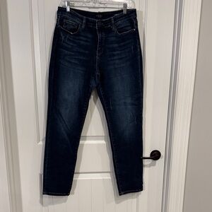 Judy Blue Dark Wash Slim Fit